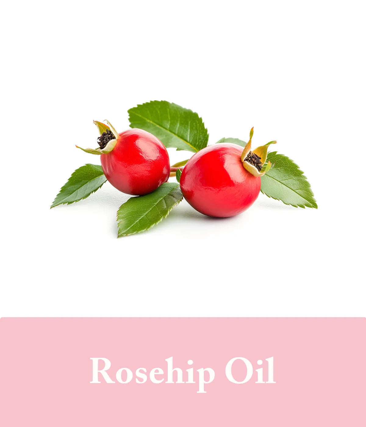 Rosehip Oil Rose Soap