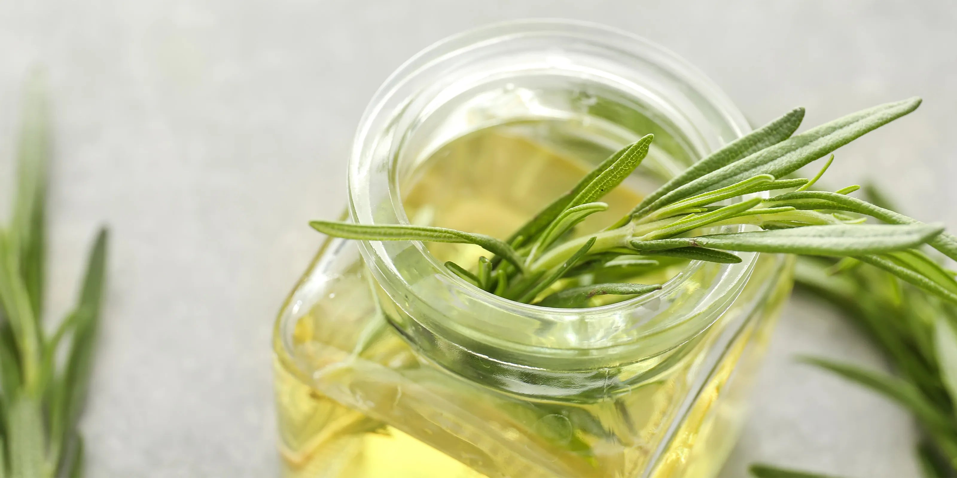 Rosemary Benefits For Hair