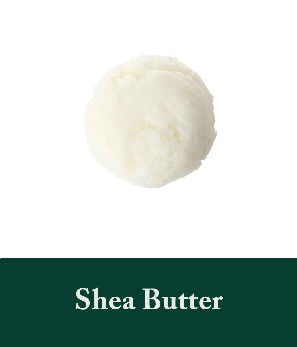 Rosemary Shampoo Shea Butter Ingredient