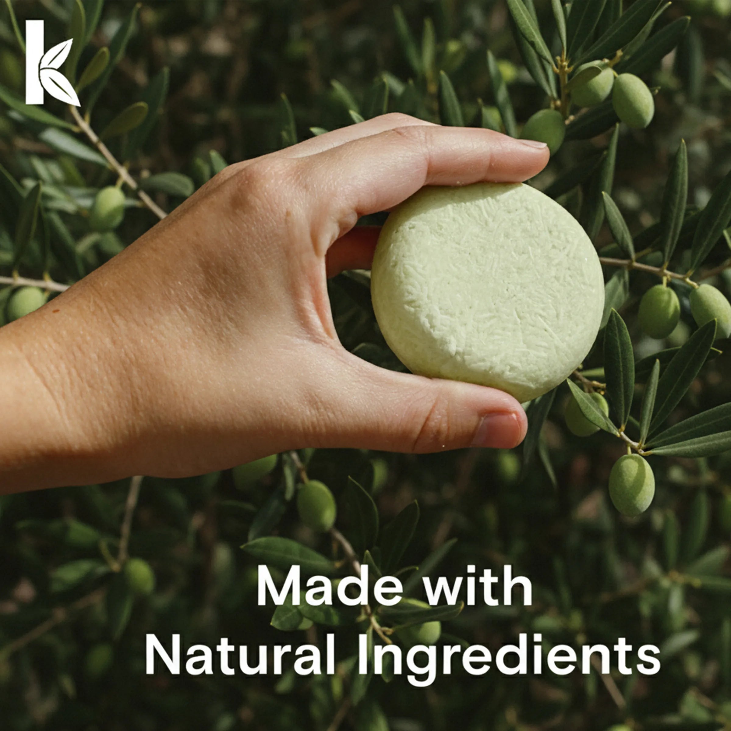 Hand holding a natural shampoo bar and its packaging with a blurred green background