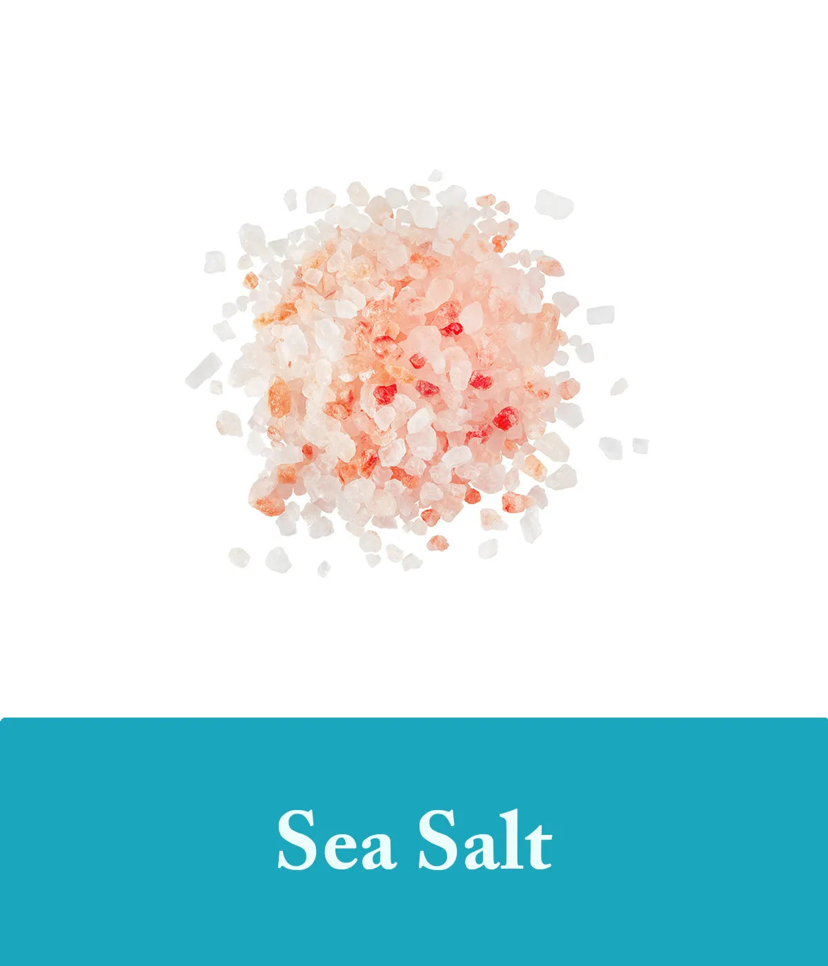 Sea Salt Ingredient