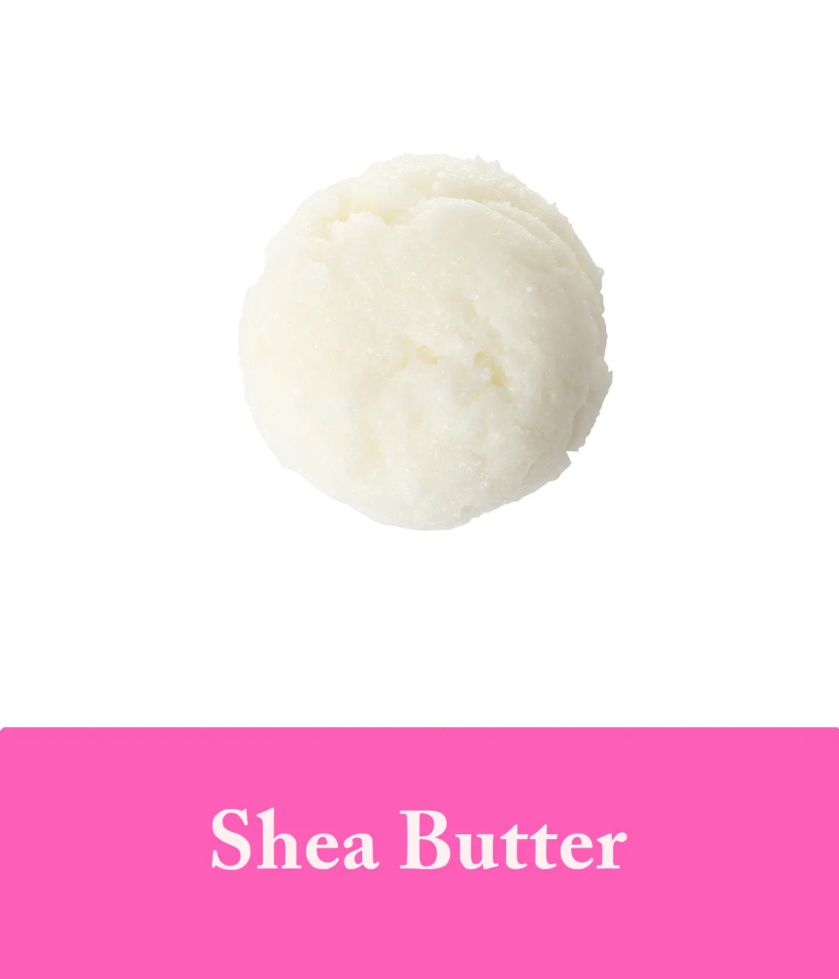 Shea Butter Rose Shampoo