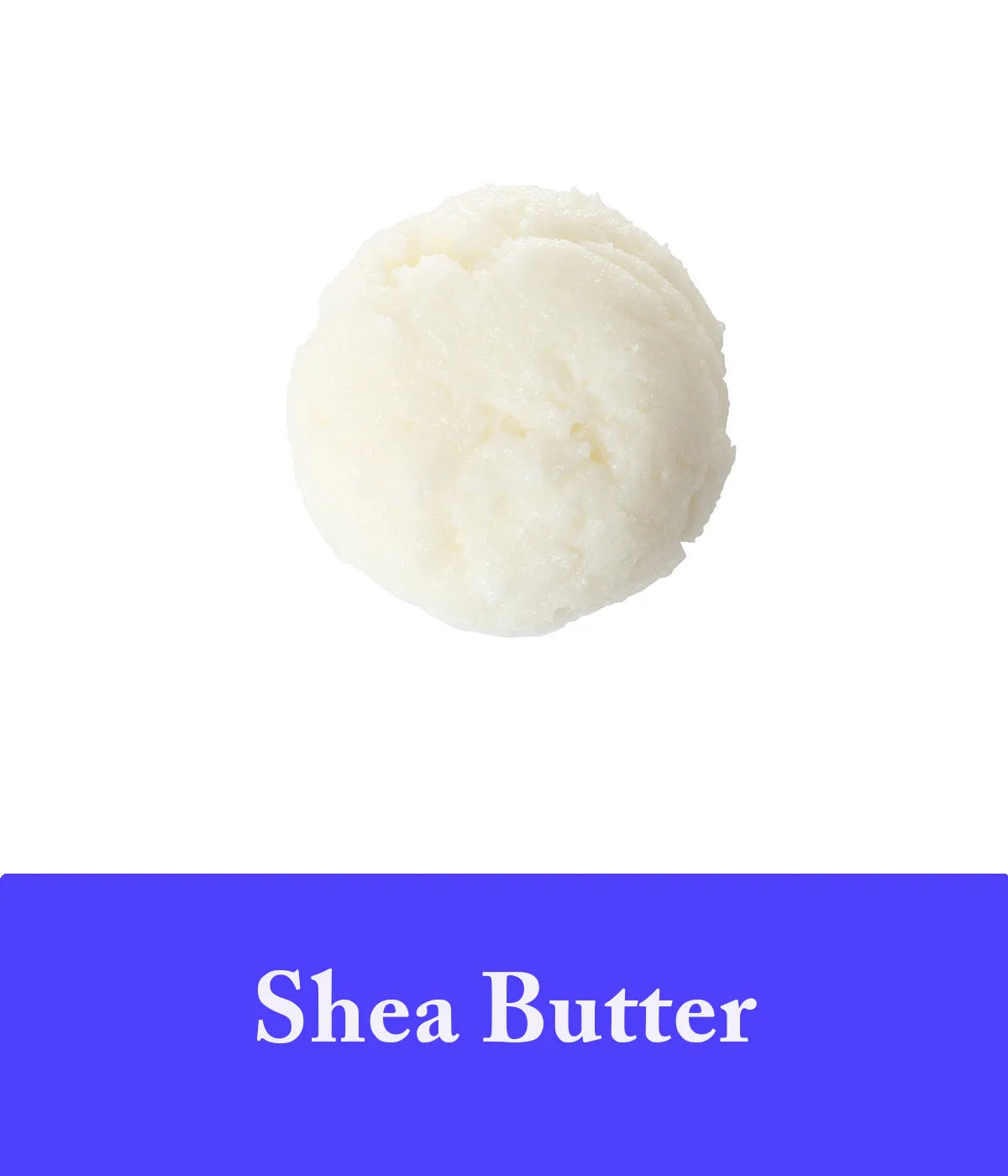 Shea Butter in Lavender Shampoo