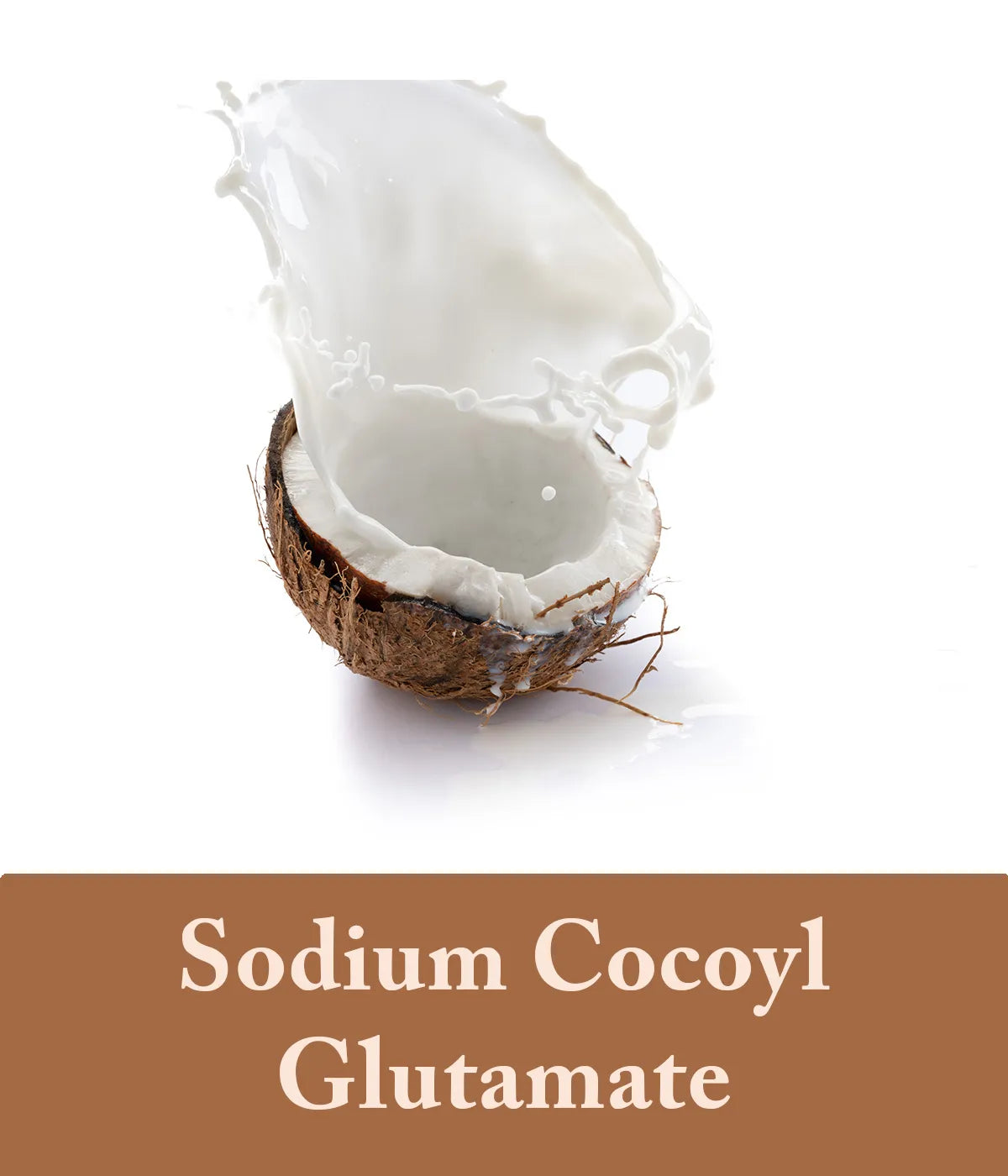 Sodium Cocoyl Glutamate Coffee Shampoo Bar