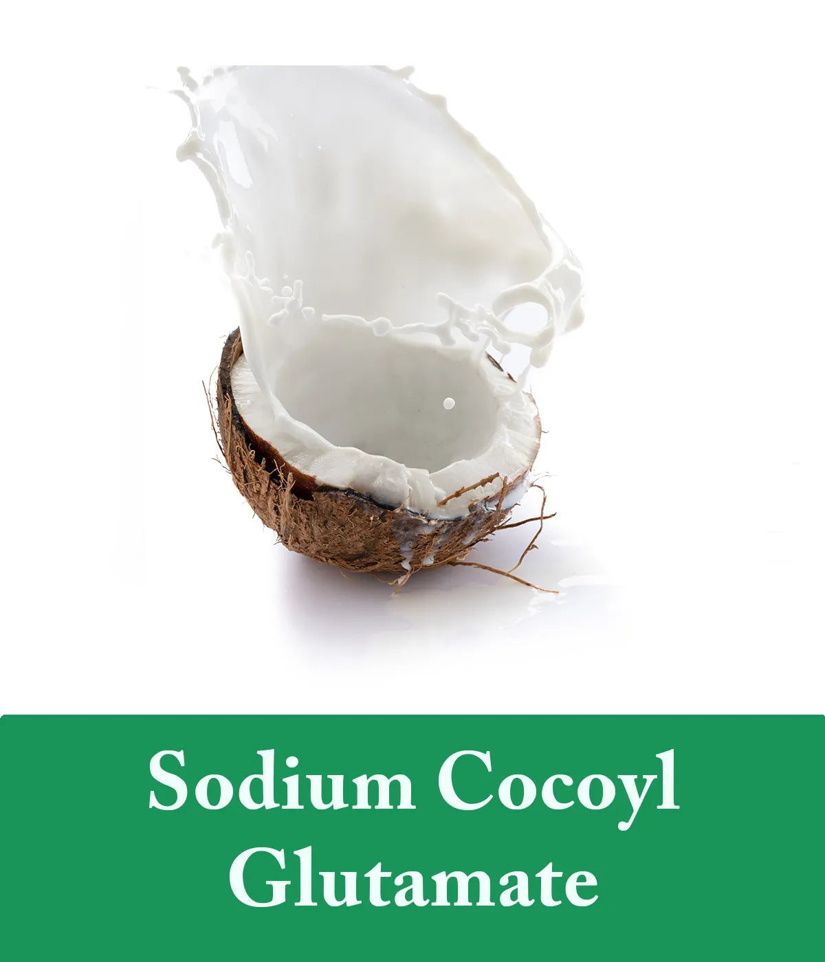 Sodium Cocoyl Glutamate Mint Shampoo