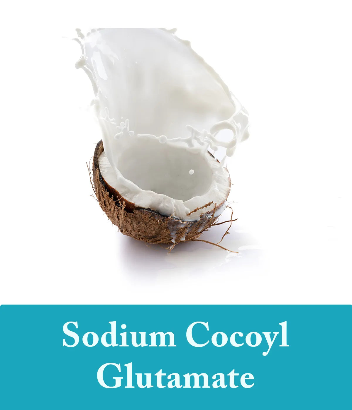 Sodium Cocoyl Glutamate Seaweed Ingredients