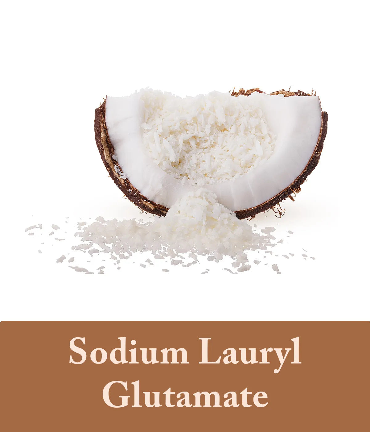 Sodium Lauryl Glutamate Coffee Shampoo Bar