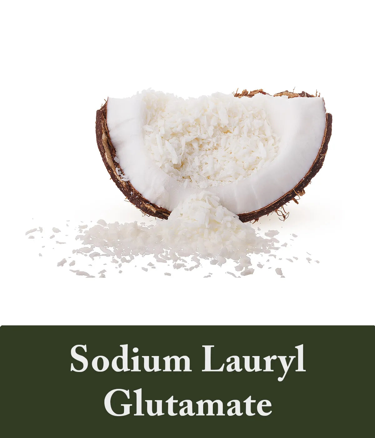 Sodium Lauryl Glutamate Polygonum Shampoo