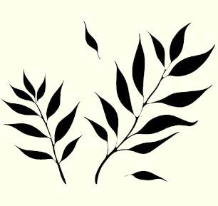 icon of tea tree leaves for the tea tree shampoo bar page
