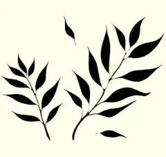 shampoo tea tree icon