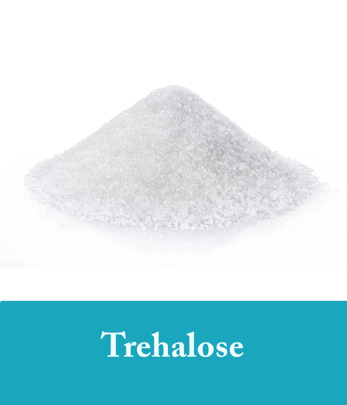 image depicting trehalose as an ingredient in seaweed shampoo