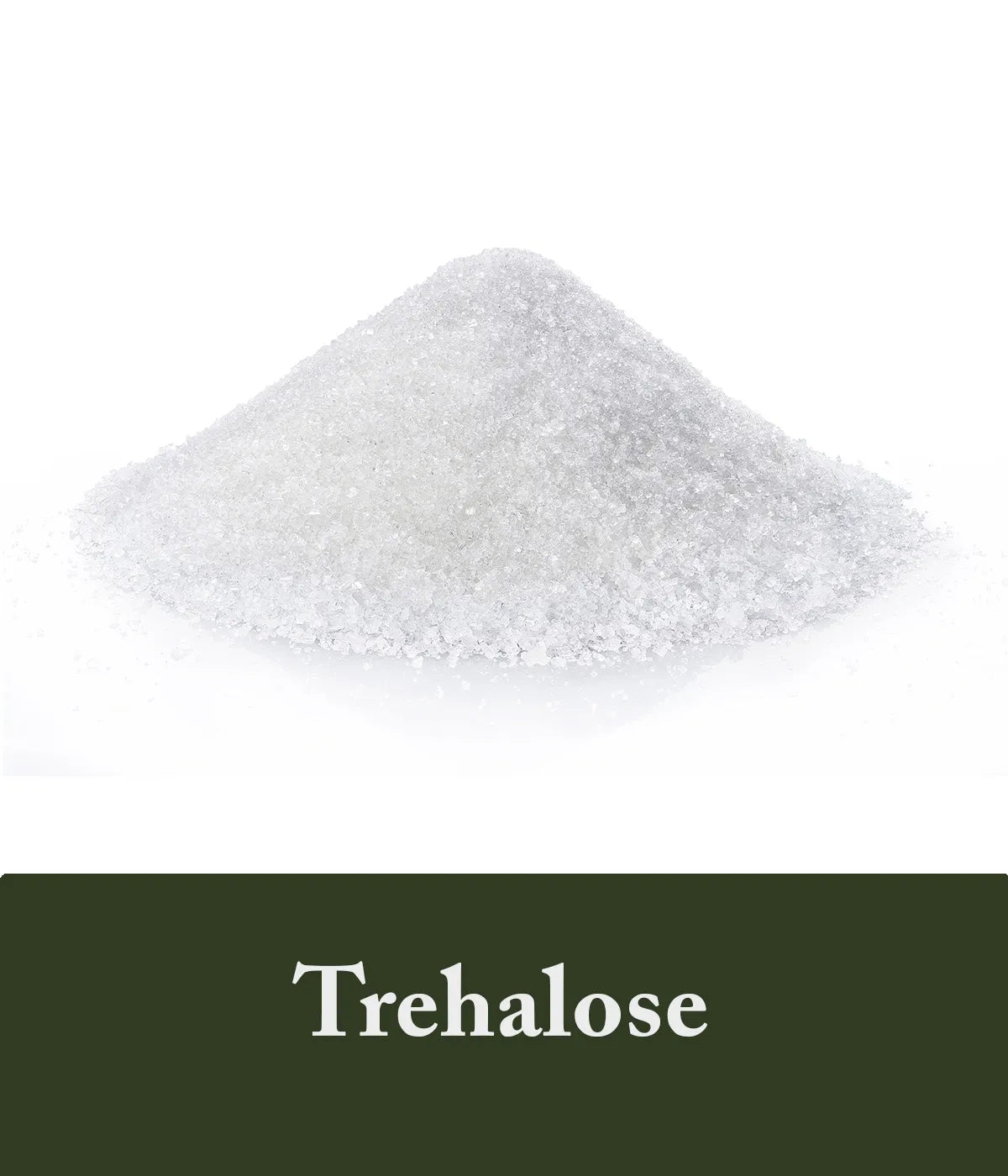 Trehalose Ingredient Polygonum Shampoo