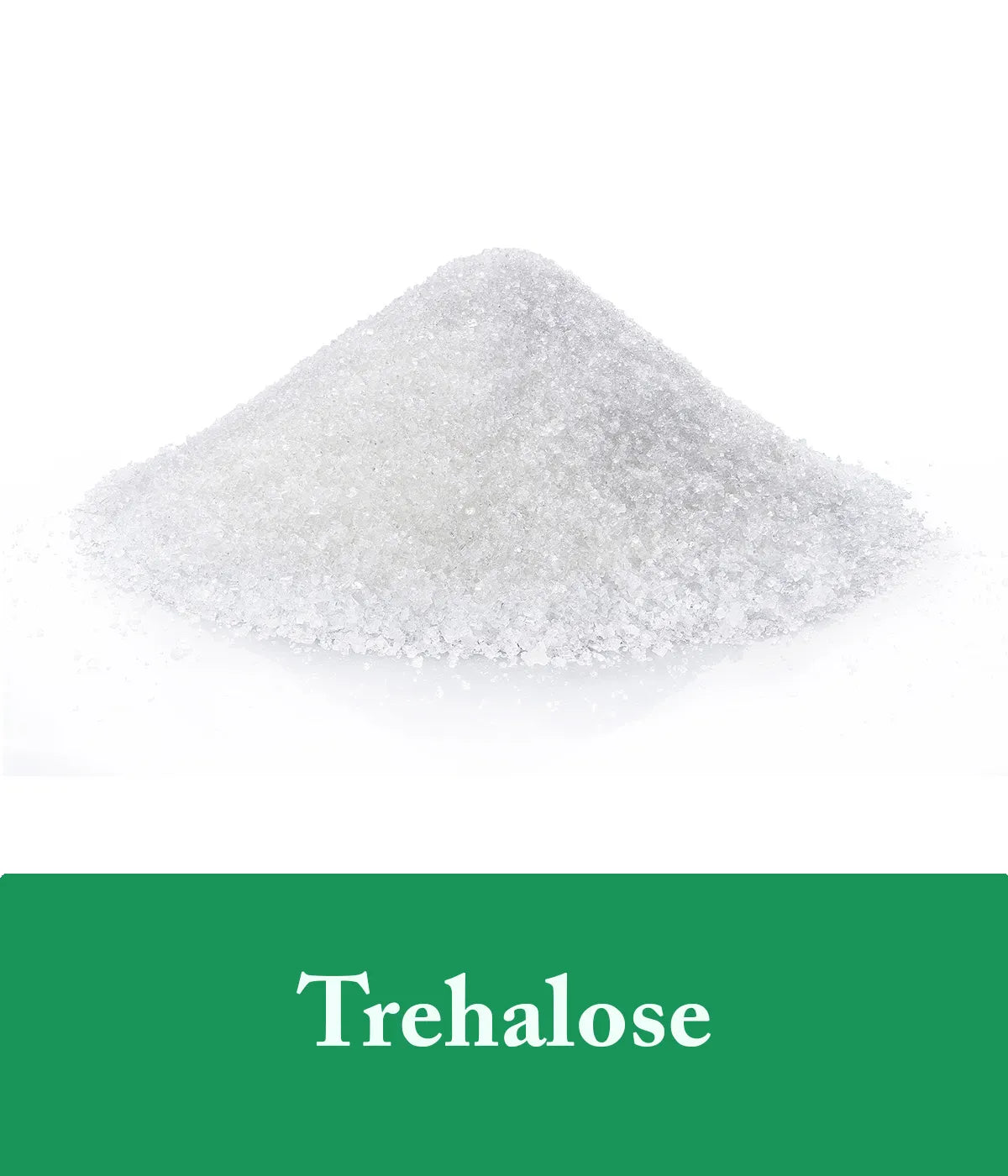 Trehalose Mint Shampoo