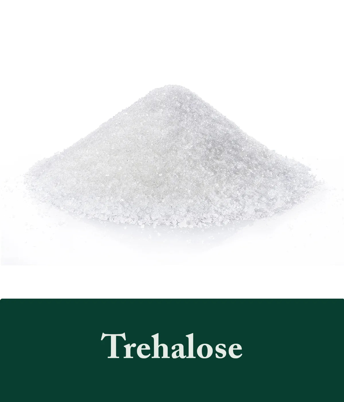 Trehalose Rosemary Shampoo Ingredient