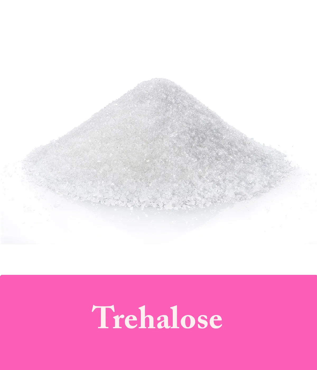 Trehalose Shampoo Rose Ingredient