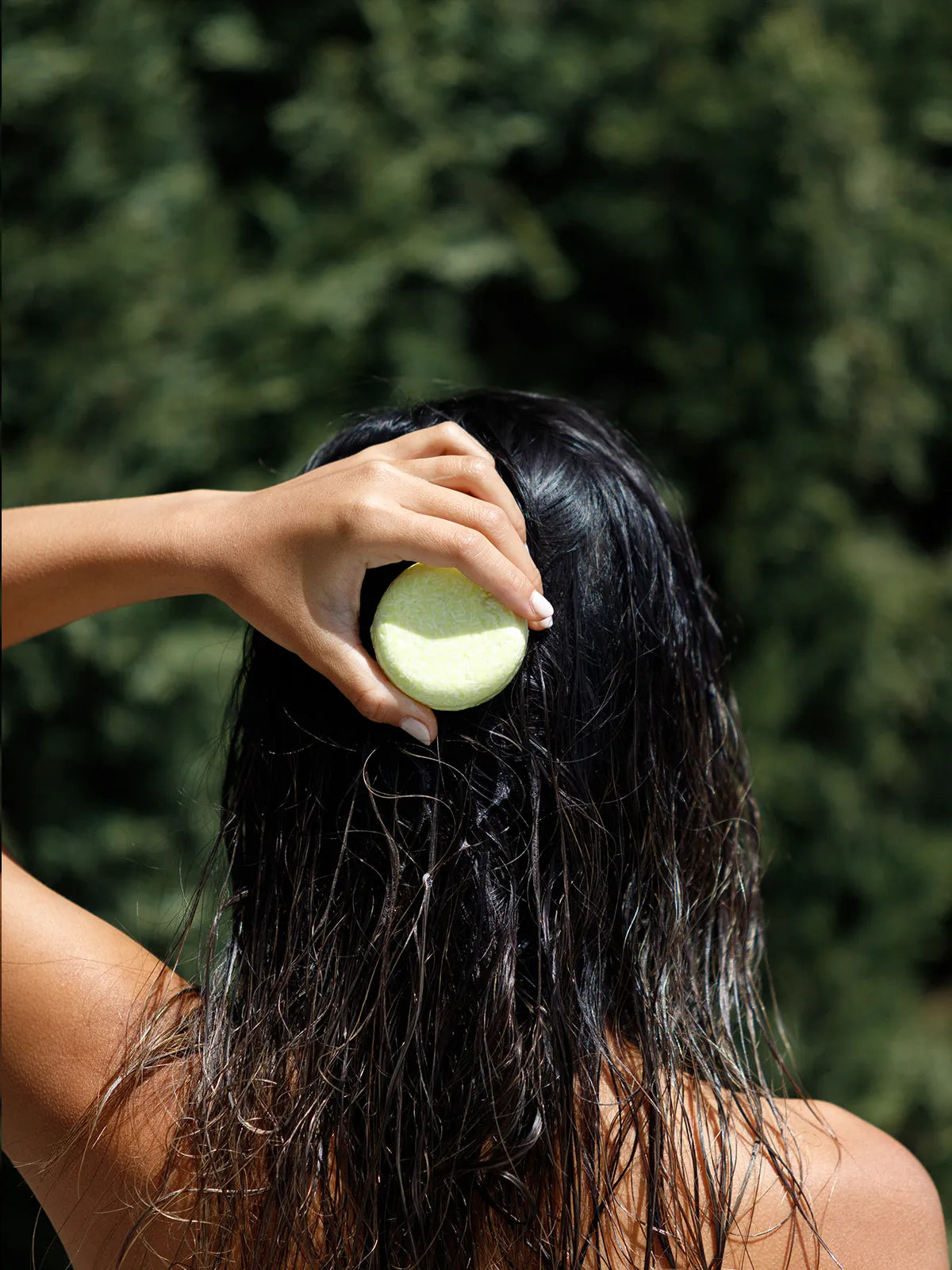 vegan olive oil shampoo