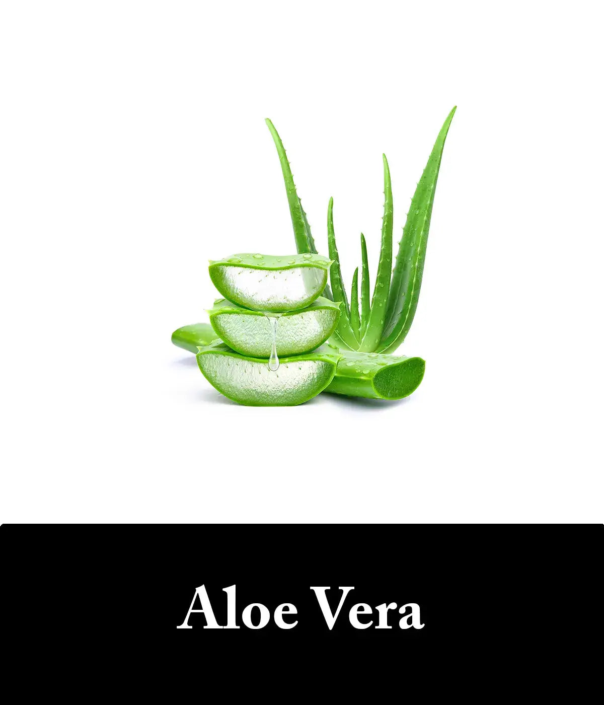 charcoal and aloe vera shampoo and conditioner