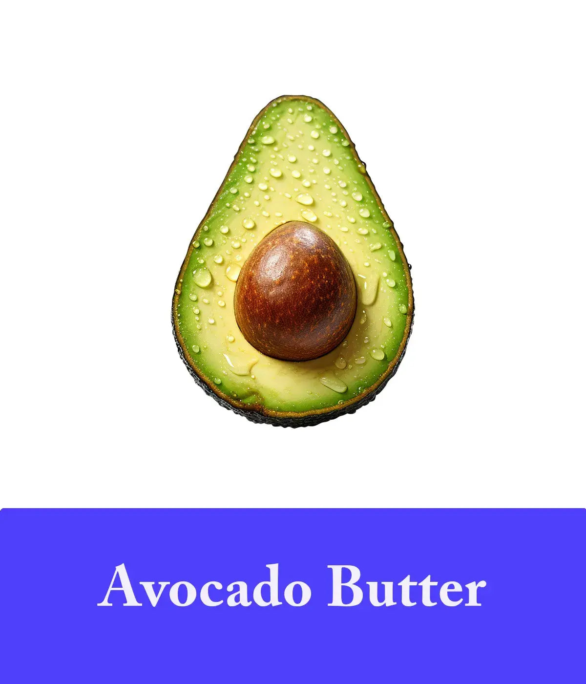lavender and avocado butter shampoo and conditioner