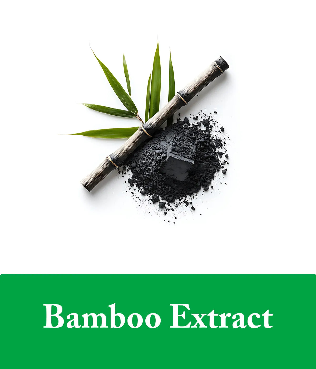 mint shampoo with bamboo extract