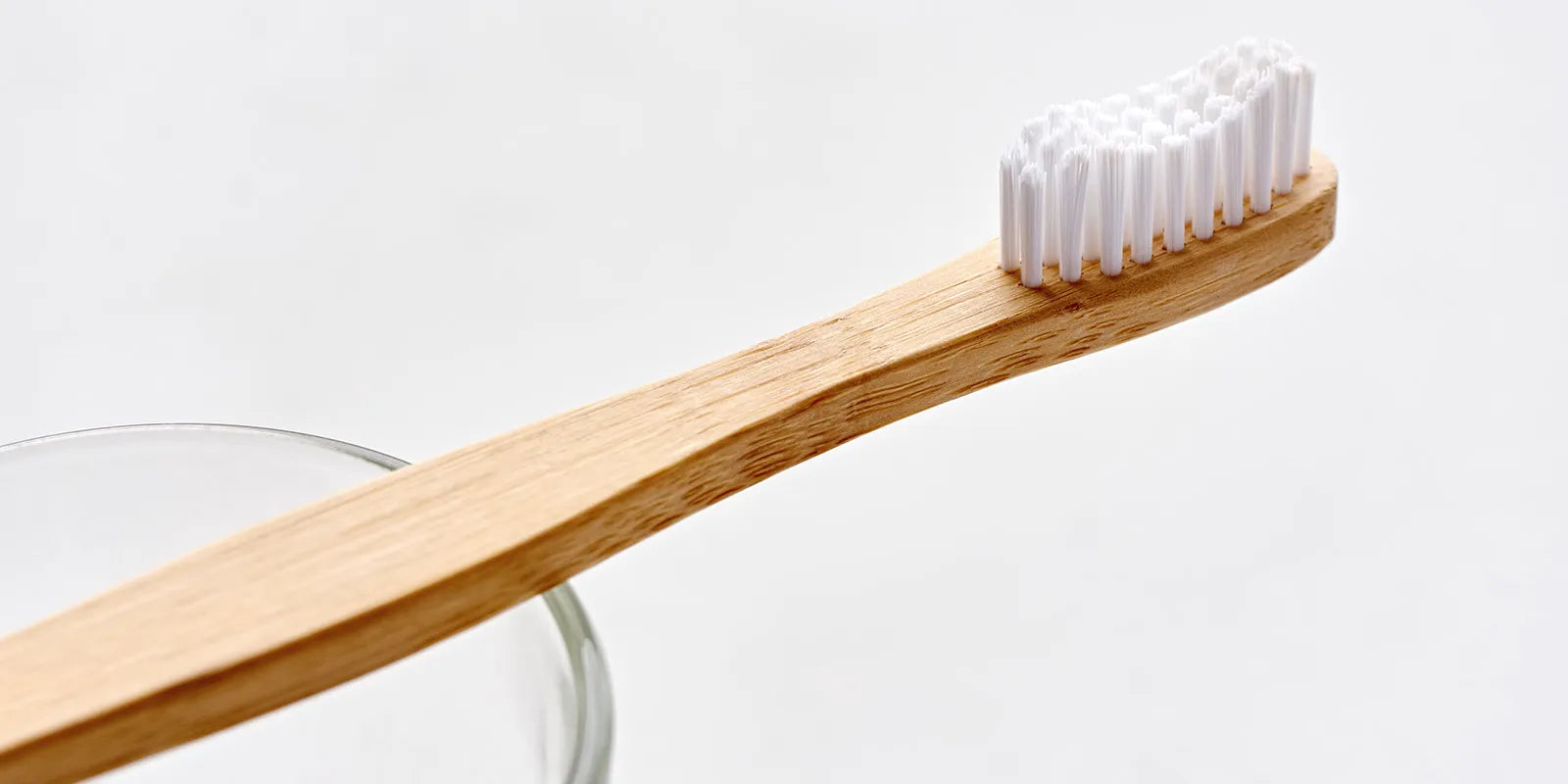 Bamboo Toothbrush Benefits