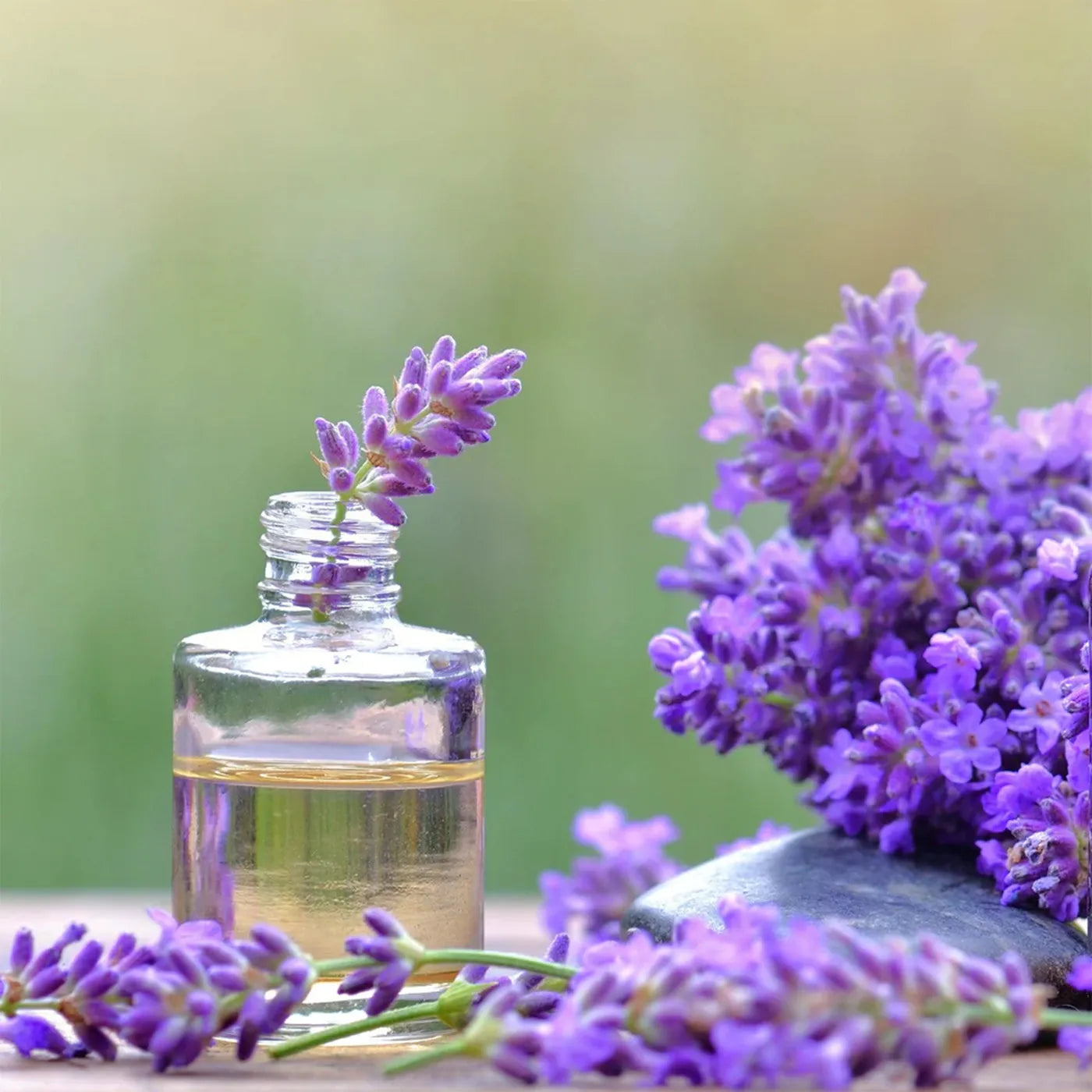 benefits of lavender oil in shampoo