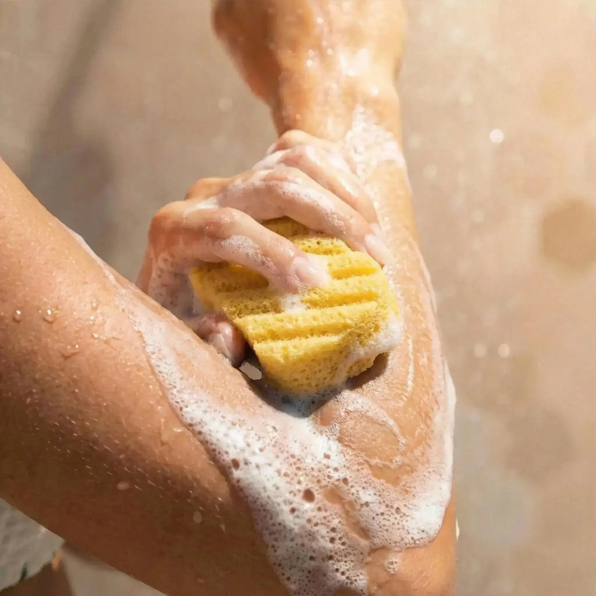 turmeric konjac body sponges