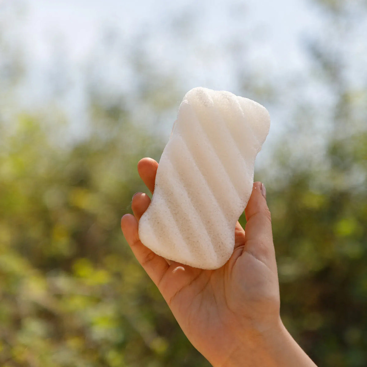unscented konjac body sponge