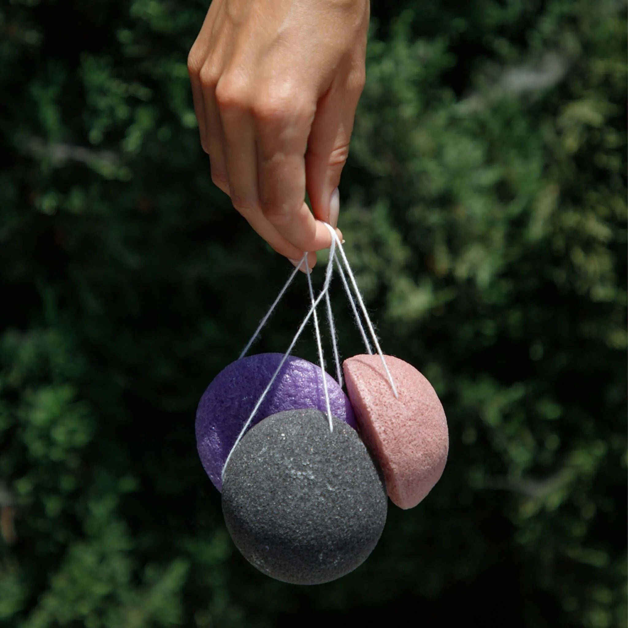Konjac Sponge