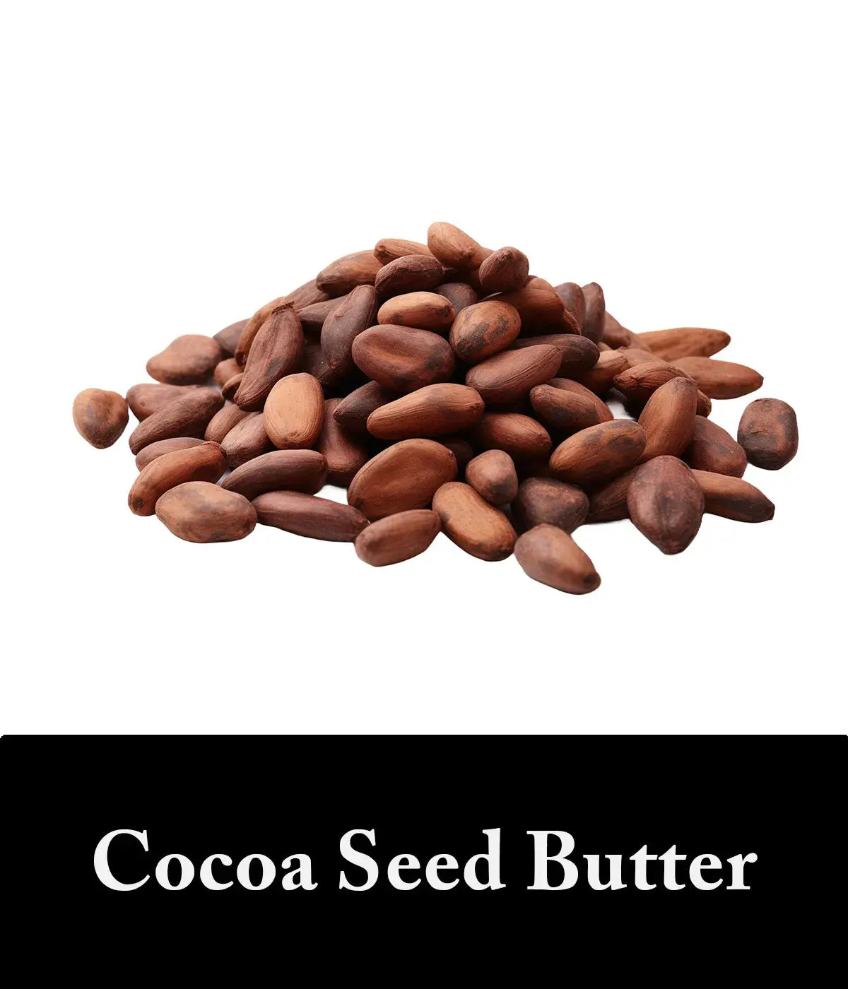 charcoal and cocoa seed butter conditioner