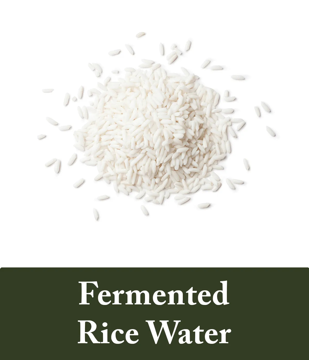 Fermented rice water shampoo and conditioner