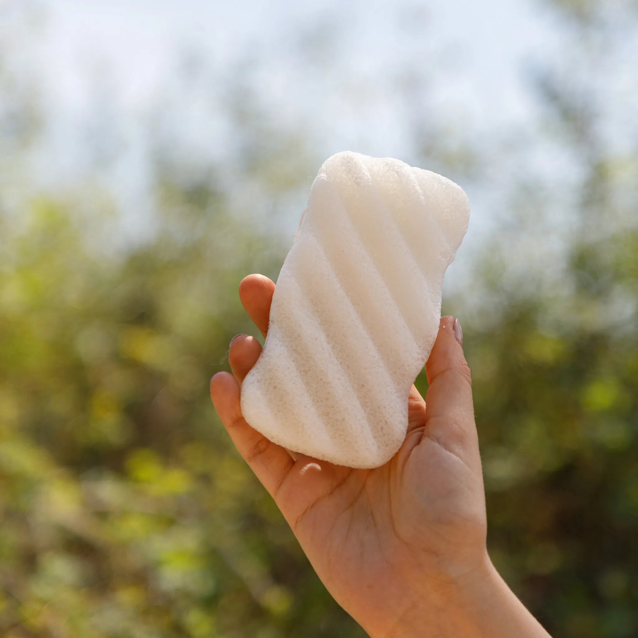Unscented Konjac Body Sponge