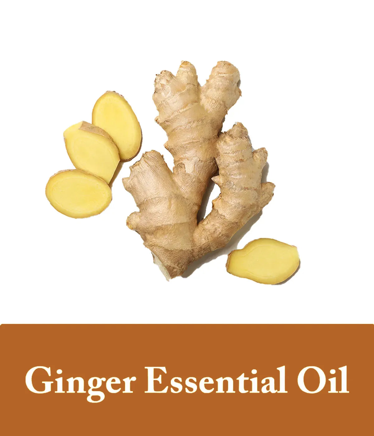 photo for ginger essential oil in seek bamboo ginger shampoo