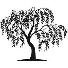 willow bark extract in green tea shampoo