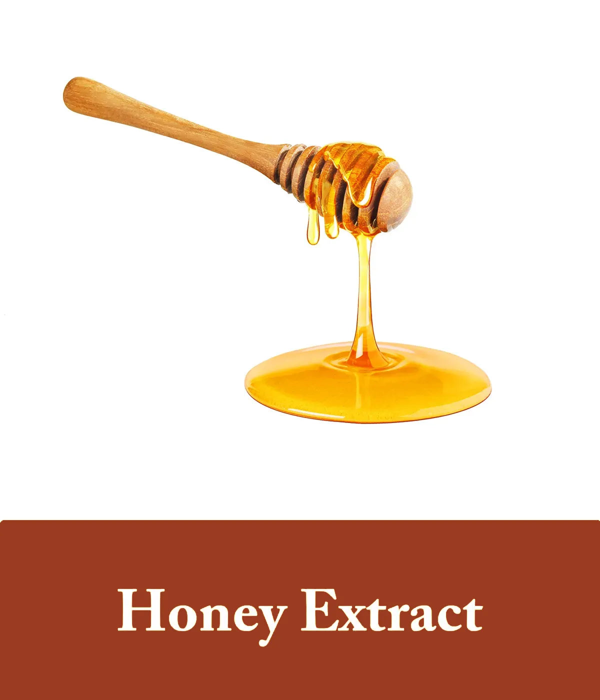 honey extract depicted as one of the honey shampoo ingredients from seek bamboo