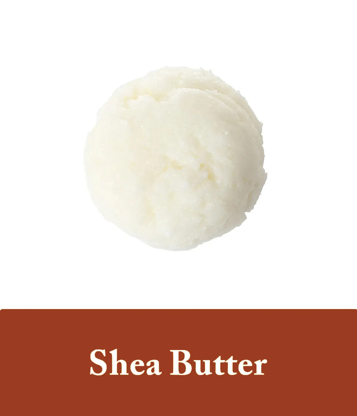 shea butter depicted as one of the honey shampoo ingredients from seek bamboo