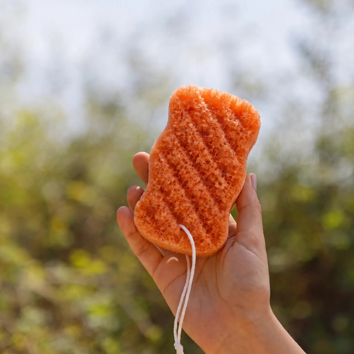 kojic acid konjac body sponge