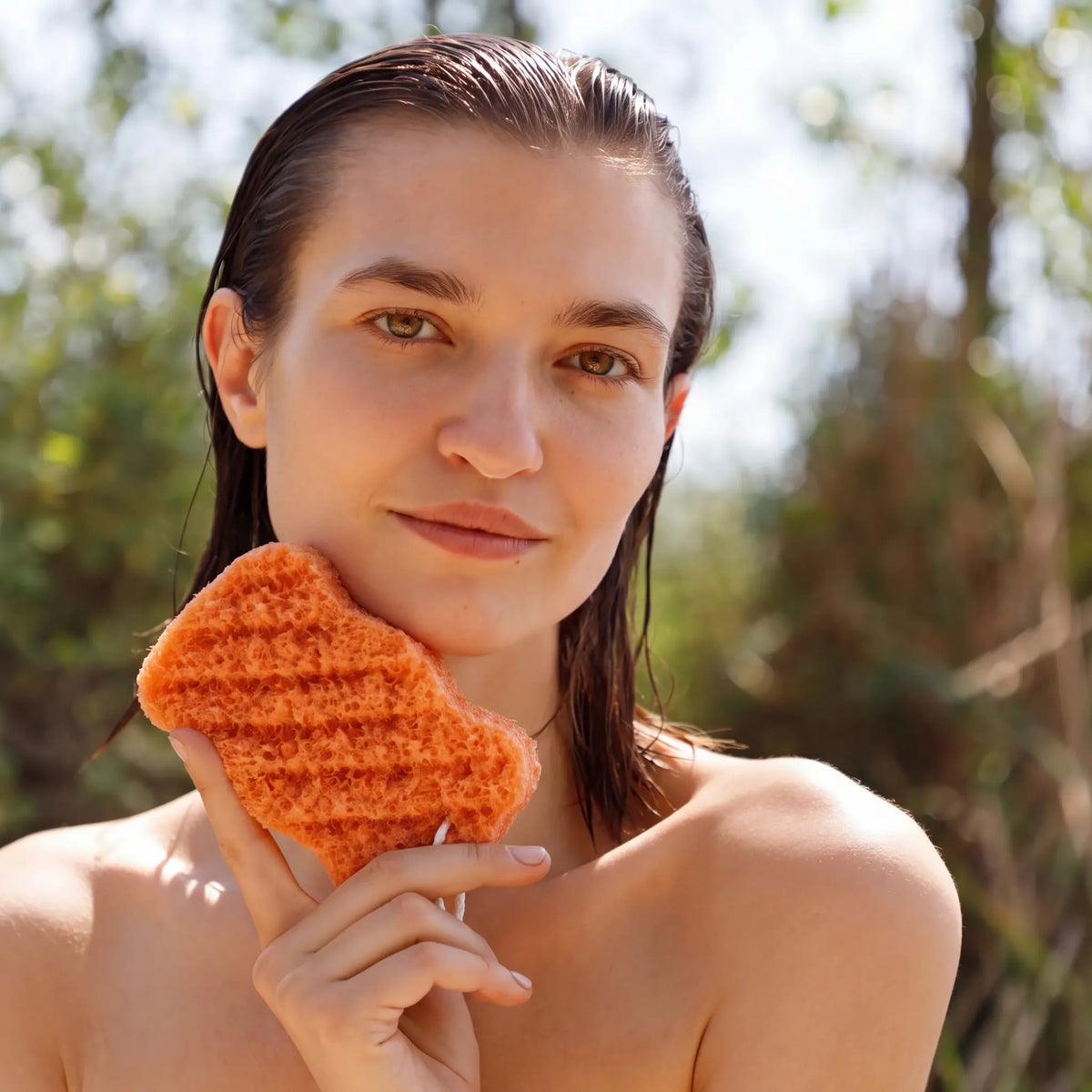 kojic acid konjac body sponges