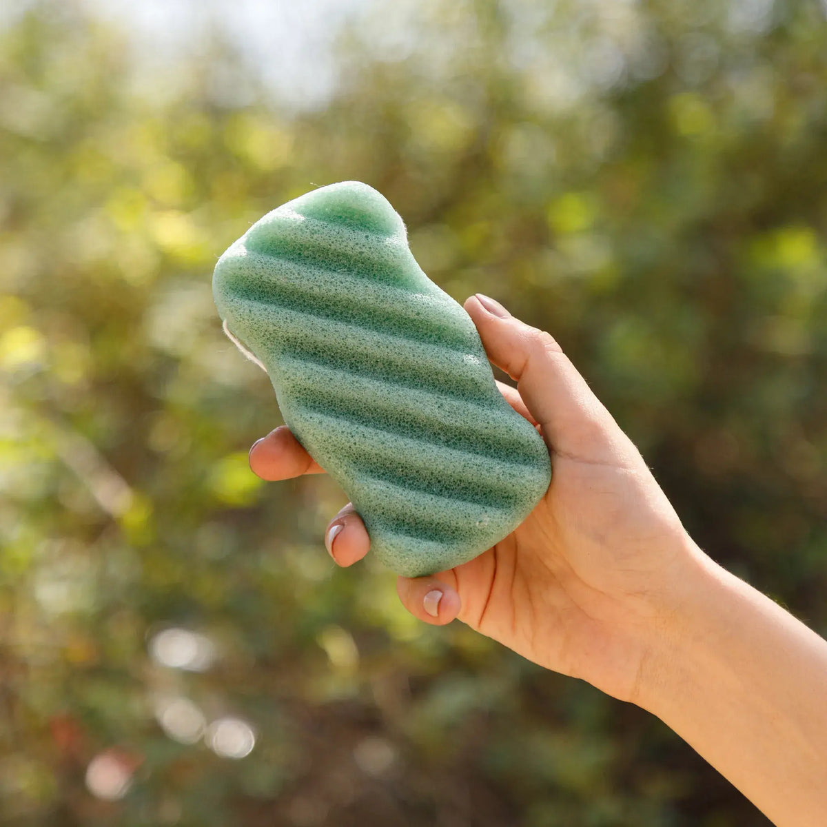 konjac body sponge aloe vera