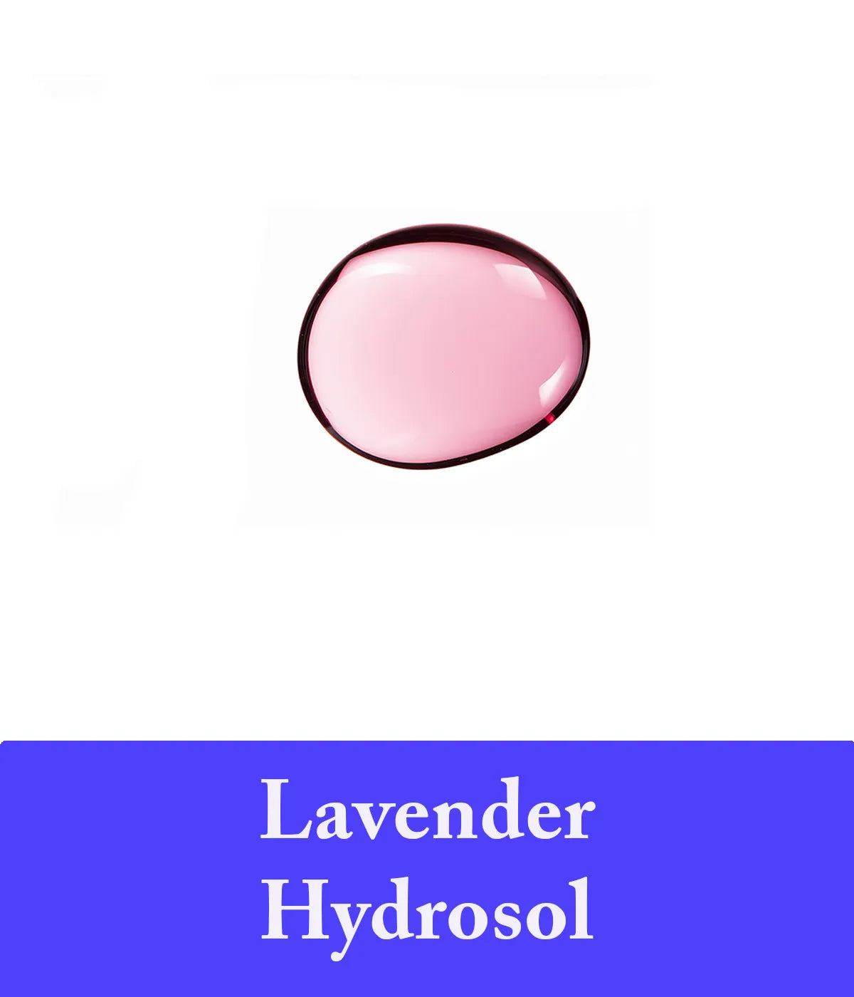 lavender hydrosol in lavender shampoo ingredient