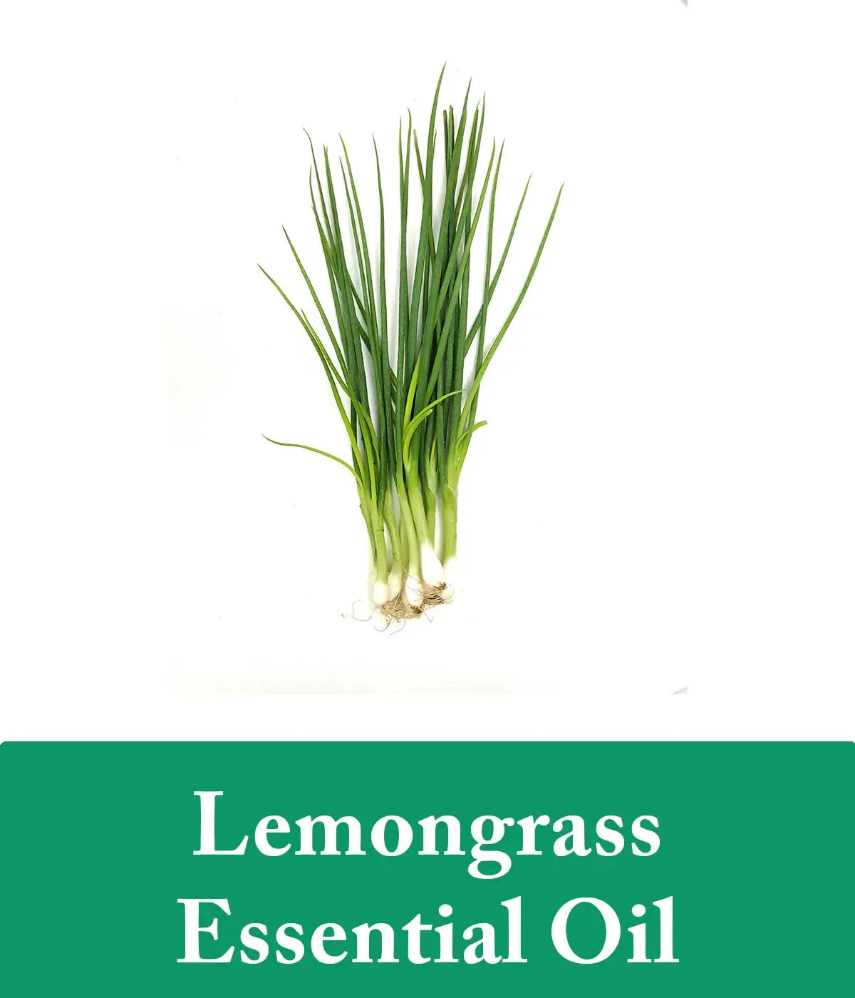 tea tree bar soap and shampoo with lemongrass essential oil