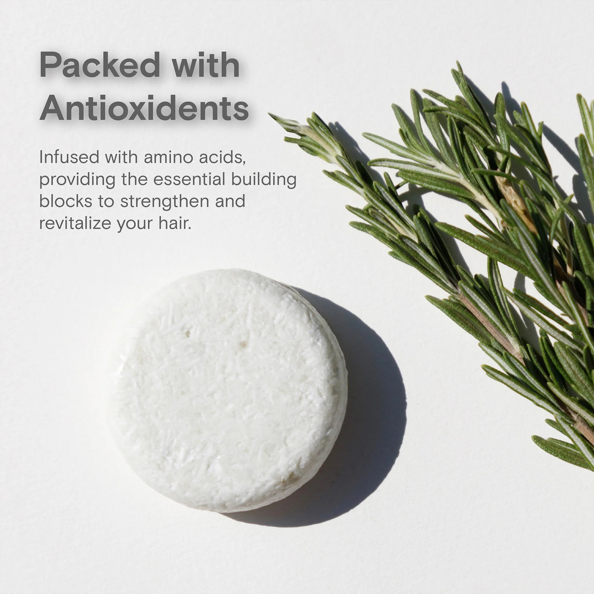 Shampoo + Conditioner For Gray Hair