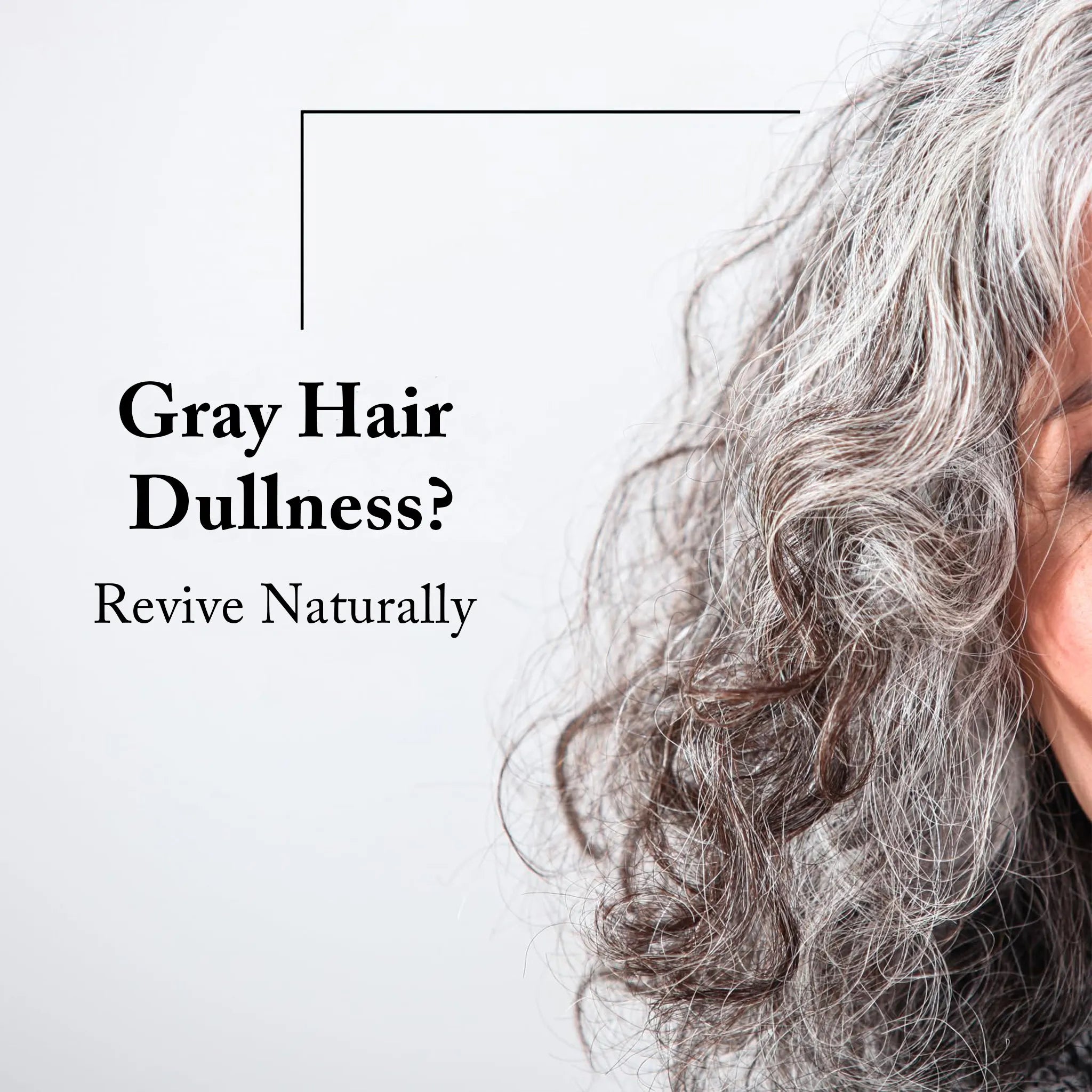 Shampoo + Conditioner For Gray Hair