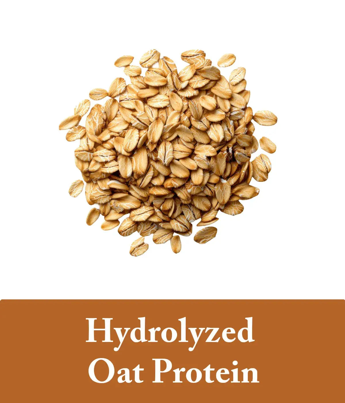 Ginger and oat protein shampoo and conditioner