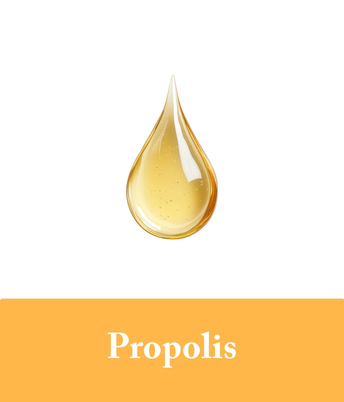 Honey shampoo and conditioner with propolis