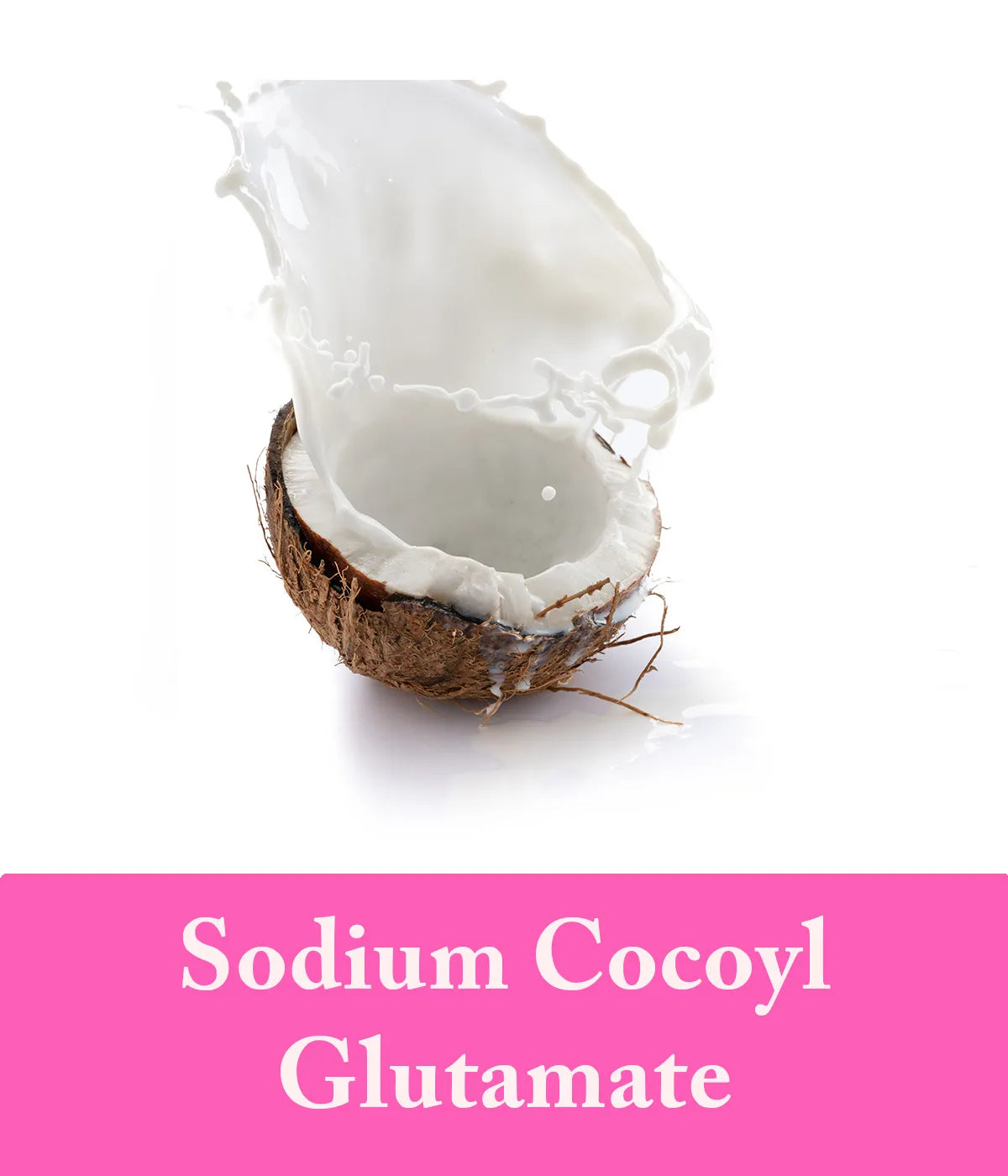 sodium cocoyl glutamate in rose shampoo