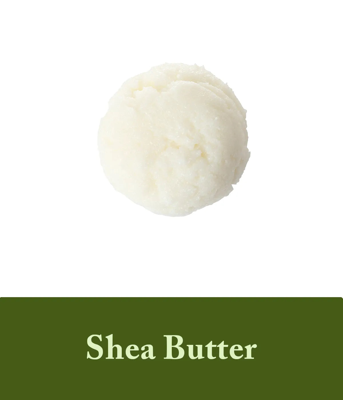 Shea butter and olive oil shampoo and conditoner
