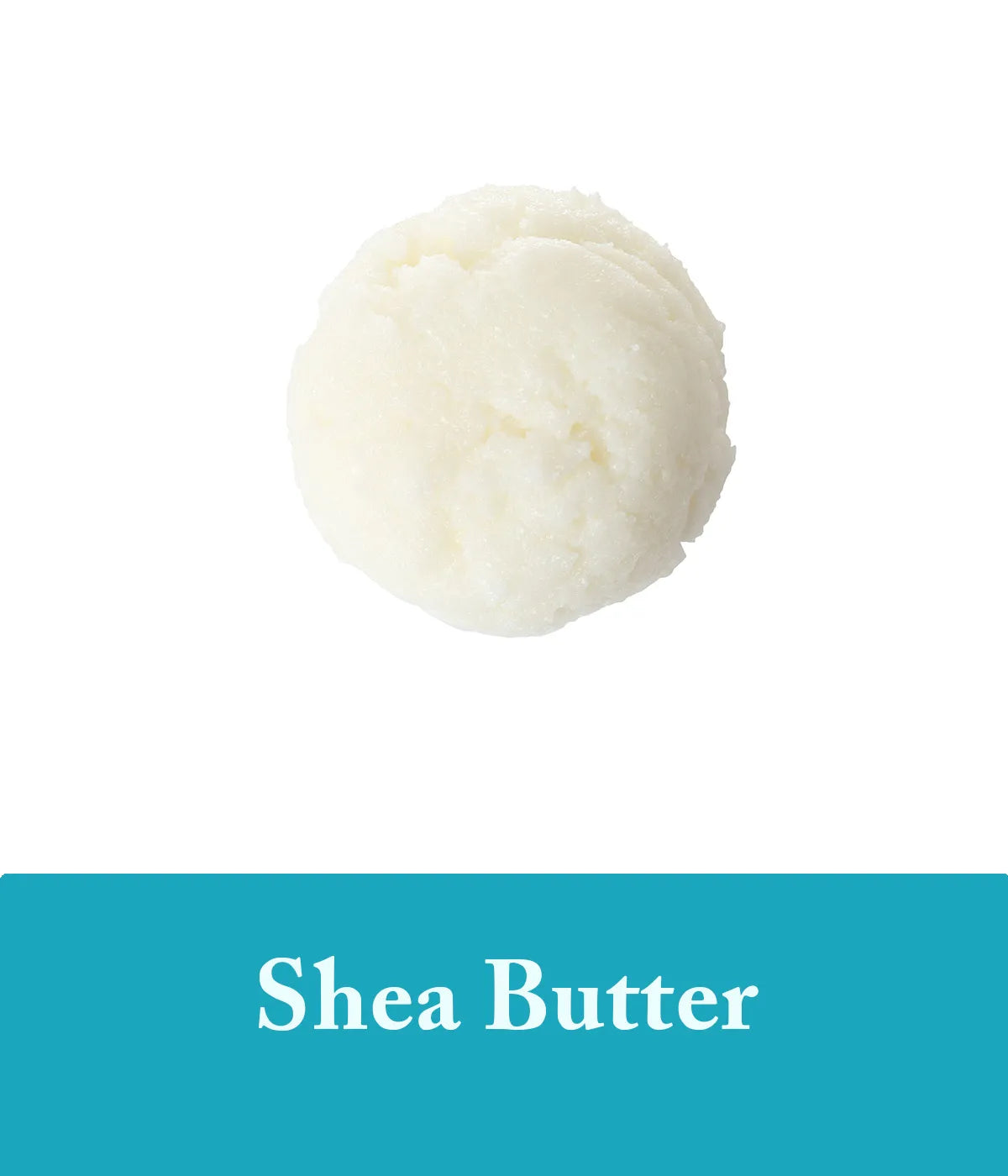 seaweed and shea butter shampoo