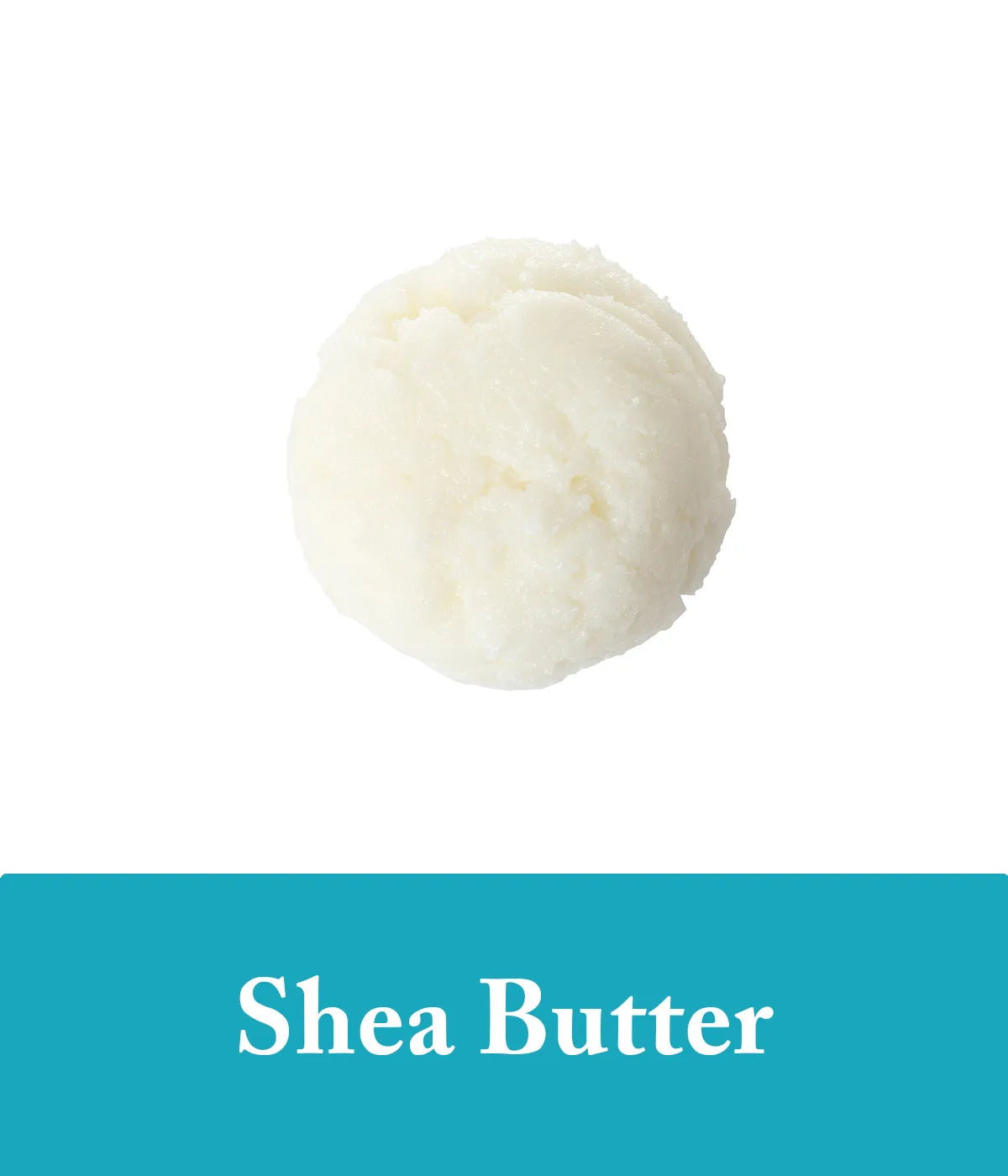 Shea butter and seaweed shampoo and conditioner