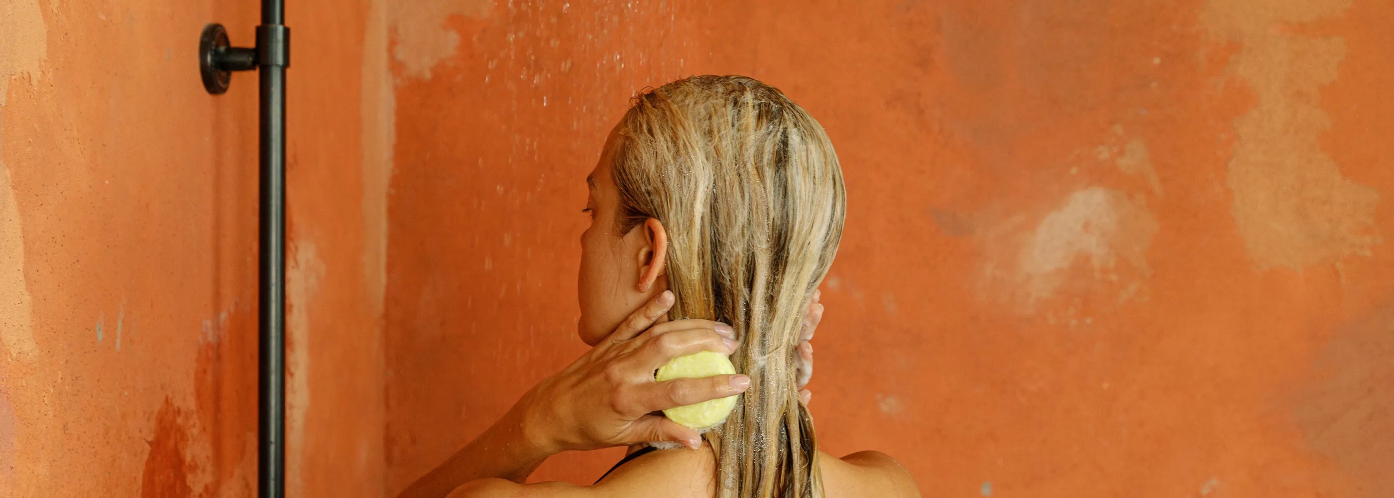 silicone free shampoo blog image from seek bamboo