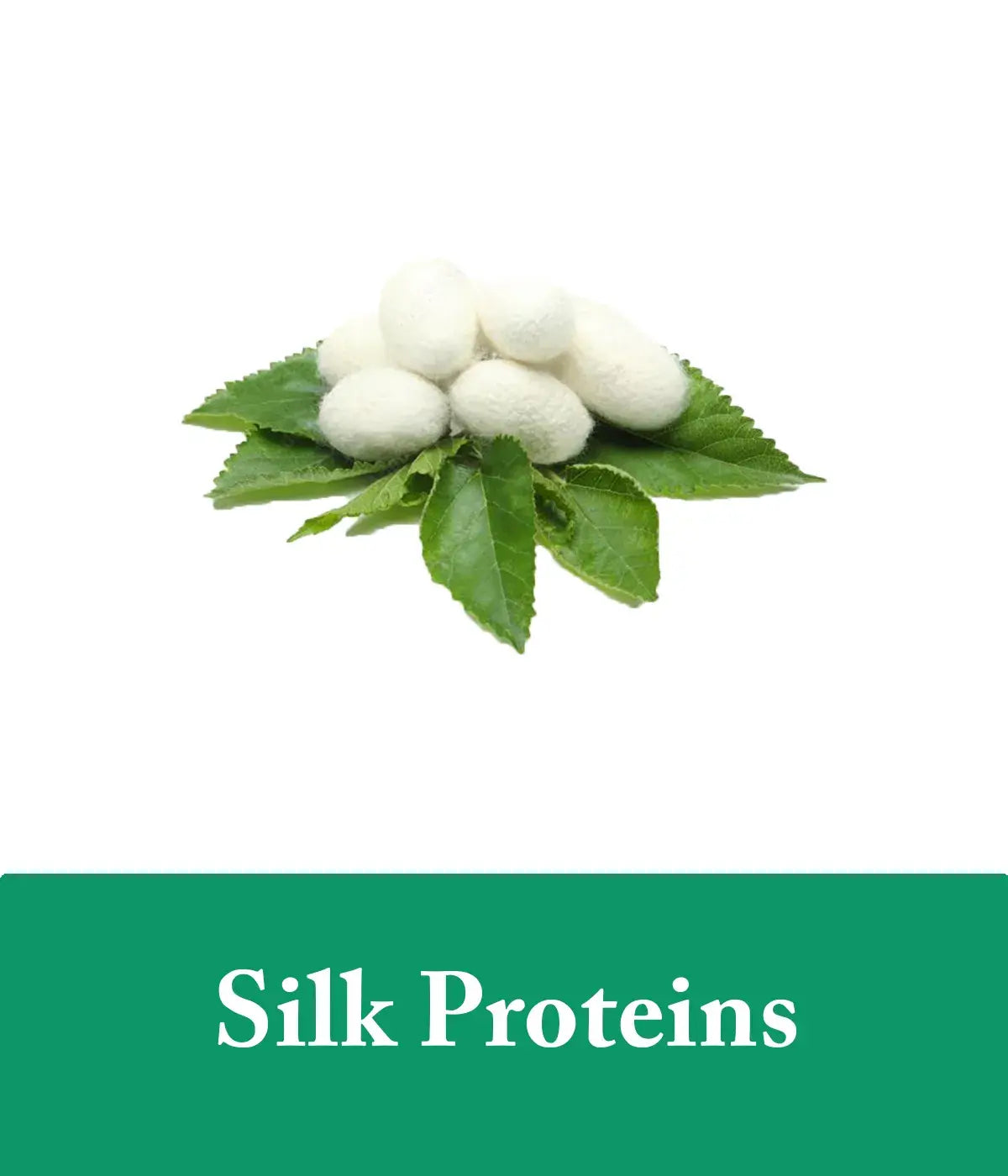 tea tree and silk shampoo and conditioner